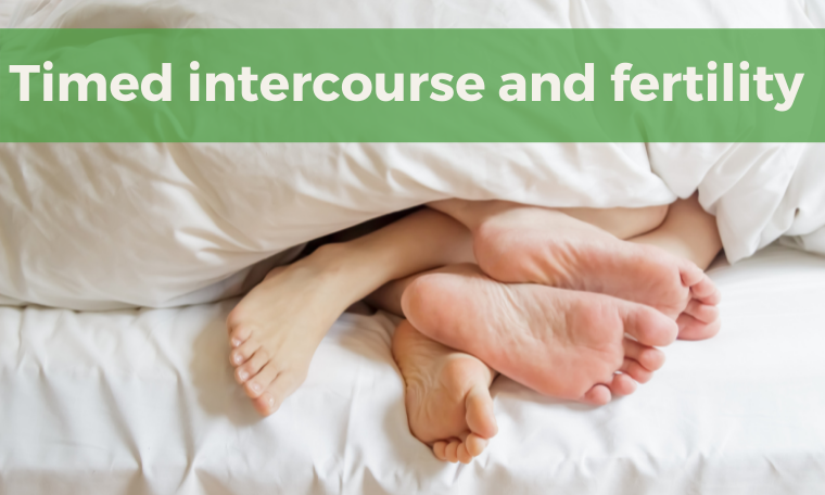 Timed intercourse and fertility