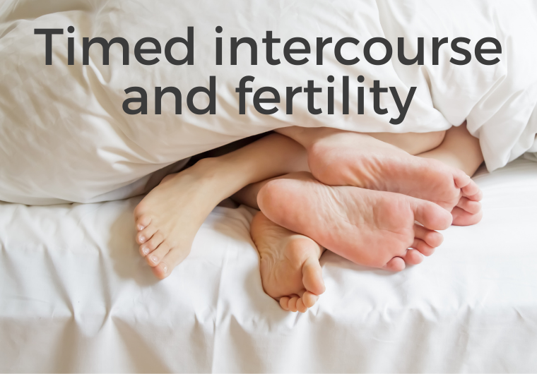 Timed Intercourse and Fertility feet under blanket FSF