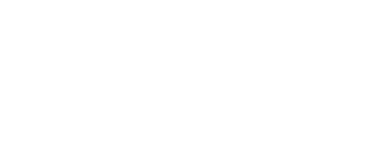 the-chronicle